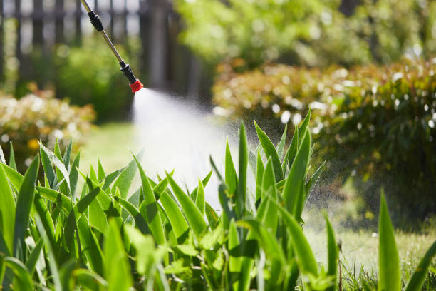 Tamper-Resistant Bait Stations for Rodents in Louisville