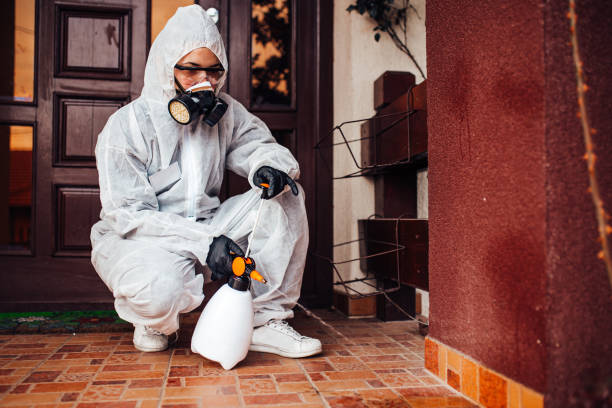 Attic and Crawl Space Rodent Treatment in Louisville