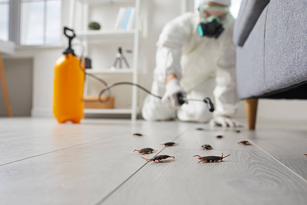 Commercial Rodent Management in Louisville